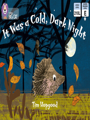cover image of Collins Big Cat – It Was a Cold Dark Night